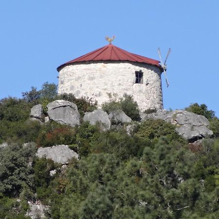 مبيت وإفطار مونسانتو Casa Da Riguerinha المظهر الخارجي الصورة